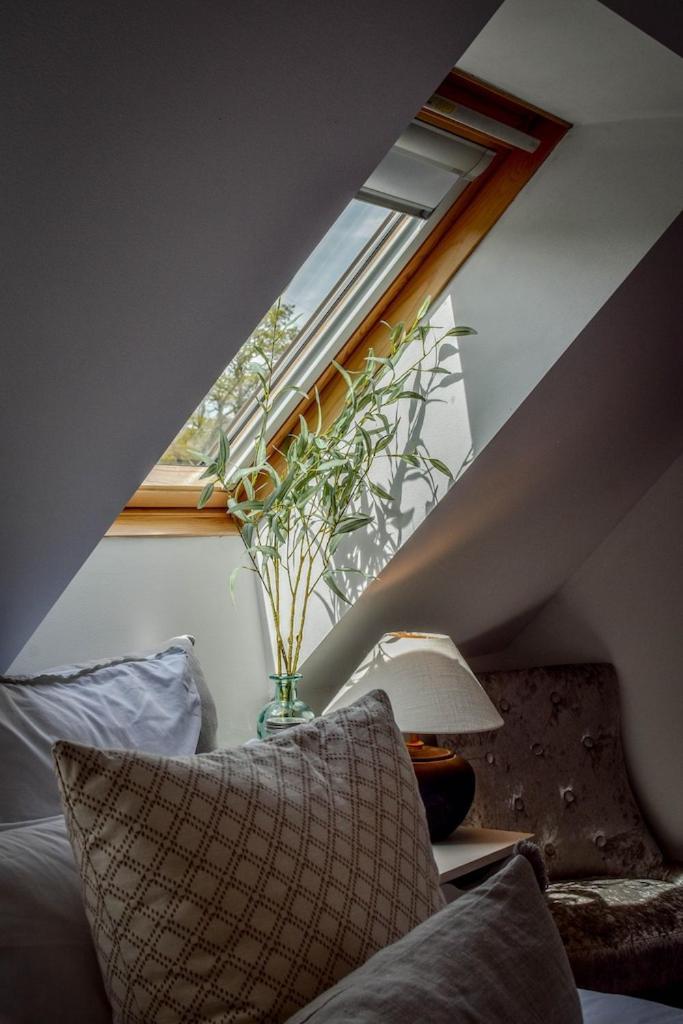 Appartamento The Lookout At Cloatley Meadow Hankerton Esterno foto